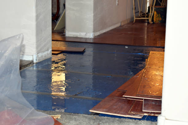 Professional Burst Pipe Cleanup technician working in Wilmington, NC