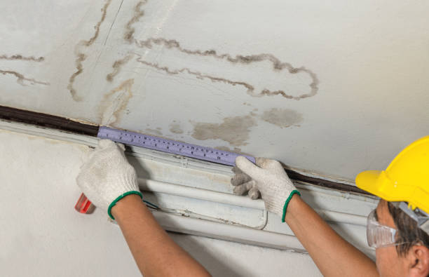 Reliable Burst Pipe Cleanup contractor in Wilmington, NC by Water Damage Irwin